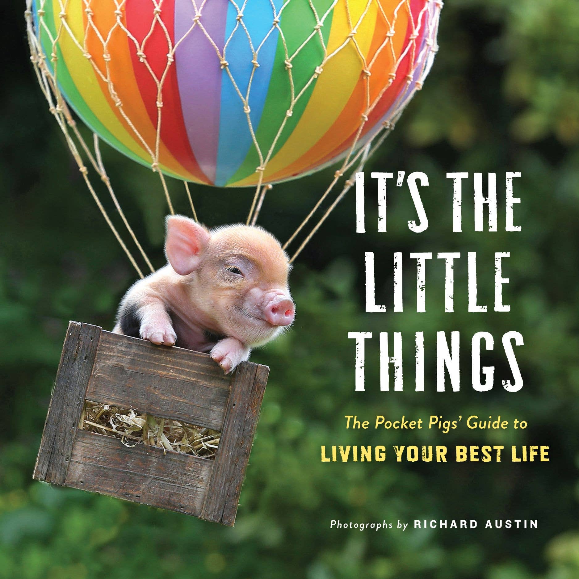 Piglet in a hot air balloon with text about living your best life book