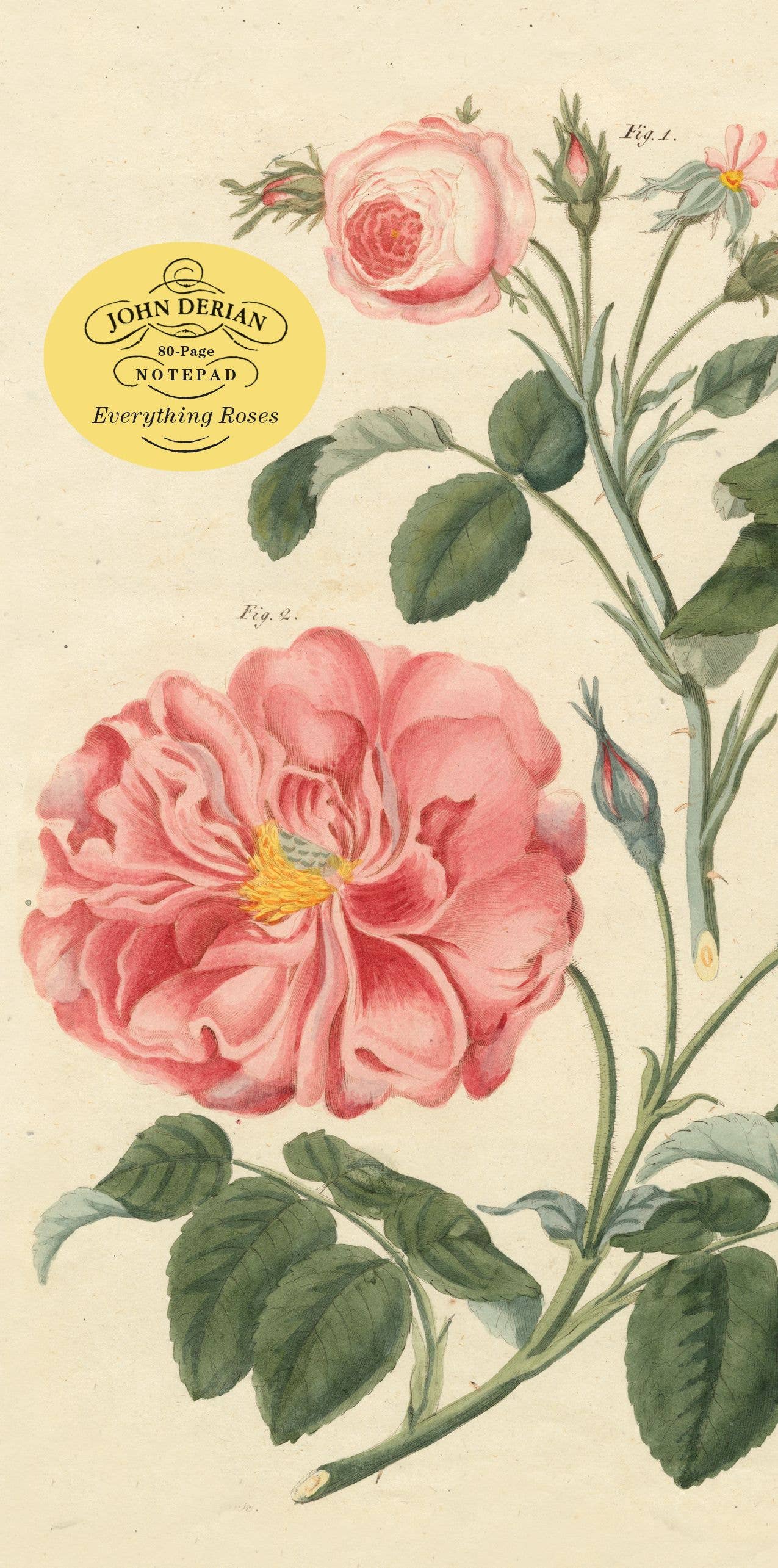 Illustration of pink roses with green leaves on a beige background, featuring the John Derian Notepaper brand.