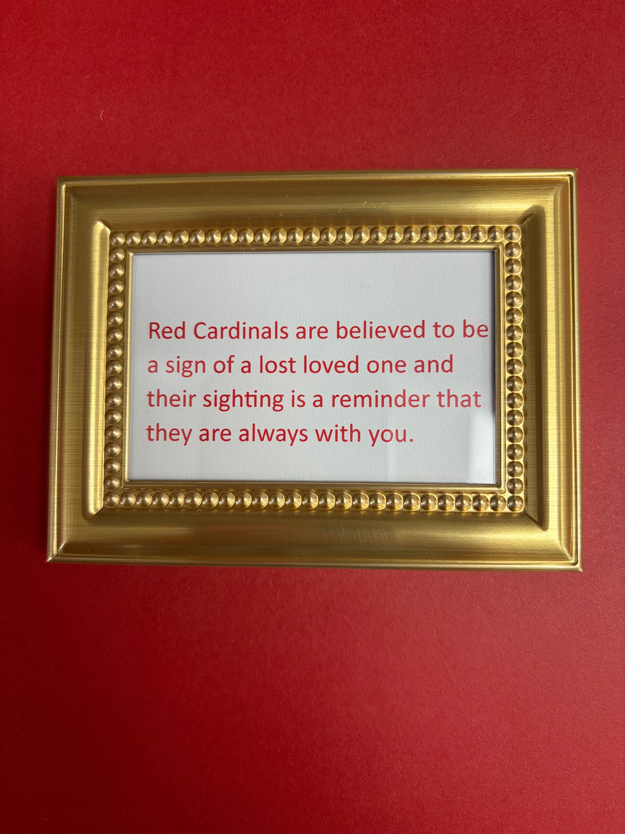 A gold picture frame with red text on a white background, displayed against a solid red backdrop. The text reads: 'Red Cardinals are believed to be a sign of a lost loved one and their sighting is a reminder that they are always with you.