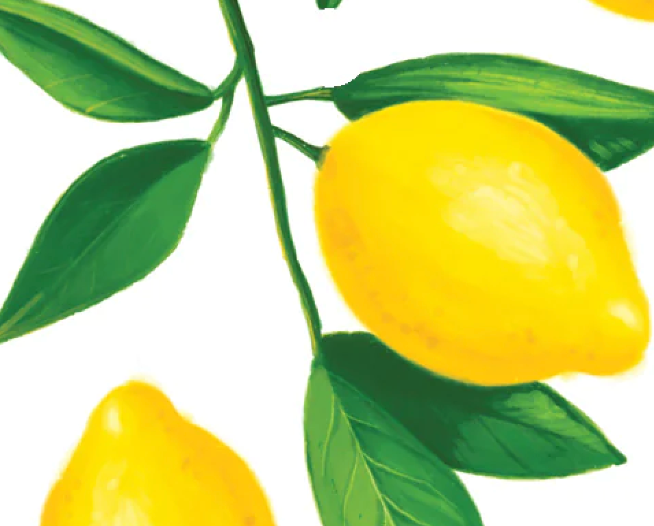 Lemons Paper- Sold by the Sheet