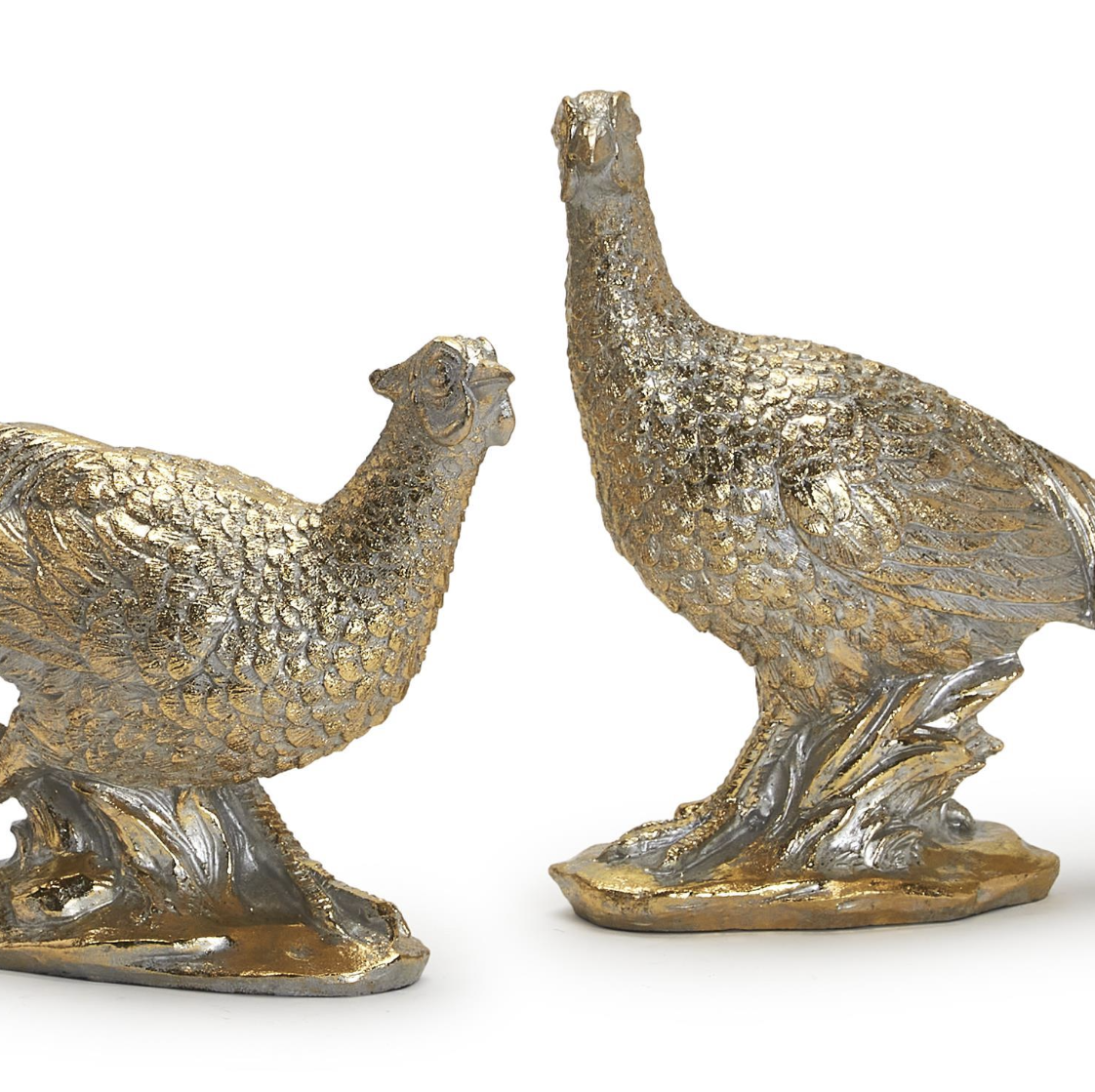 Golden Pheasants