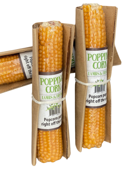 Popcorn Cobs Gift Packaged
