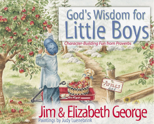 God&#39;s Wisdom For Little Boys