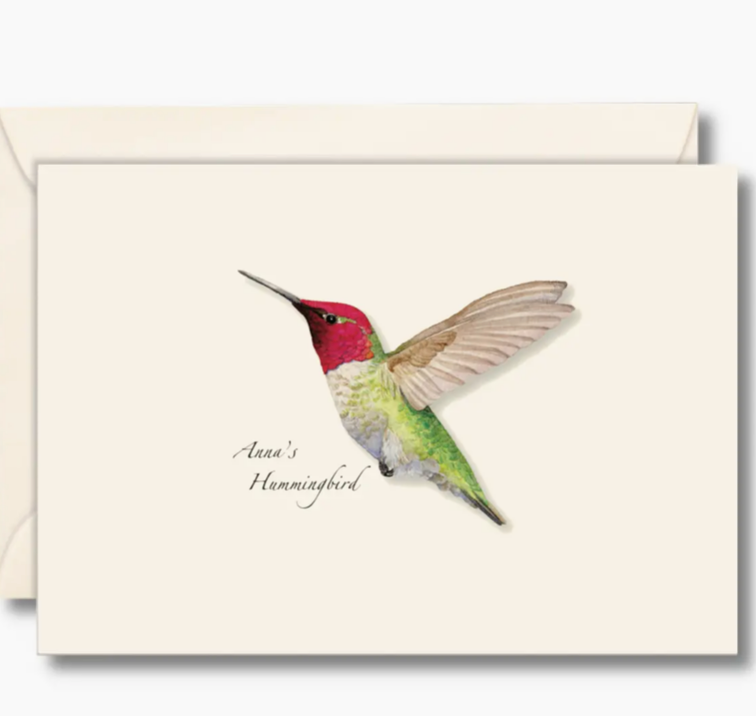 Anna&#39;s Hummingbird Notecards with Matching Envelopes - Set of 8