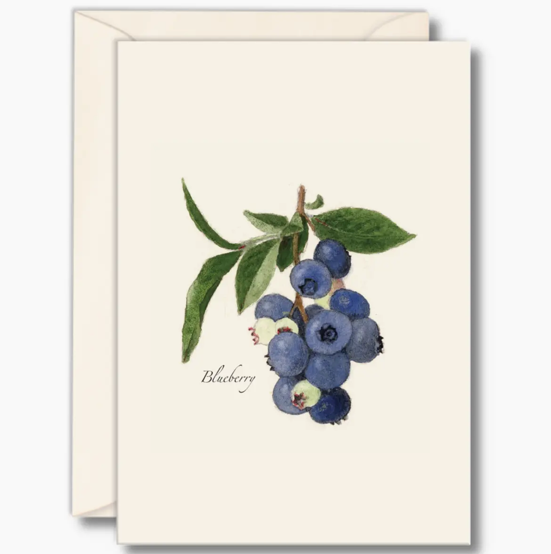 Blueberry Notecards with Matching Envelopes - Set of 8