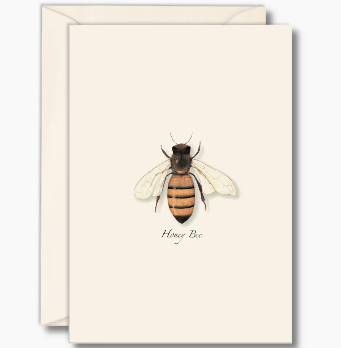 Honey Bee Notecards with Matching Envelopes - Set of 8