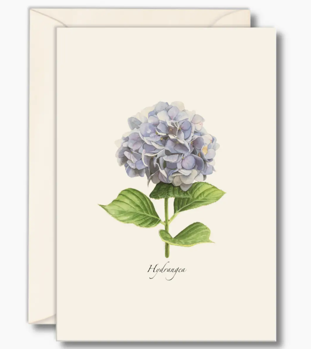 Hydrangea Notecards with Matching Envelopes - Set of 8