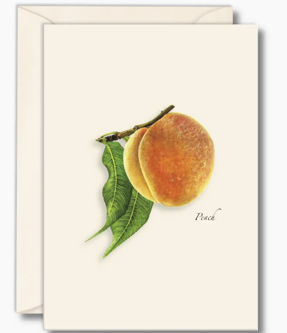 Peach Notecards with Matching Envelopes - Set of 8