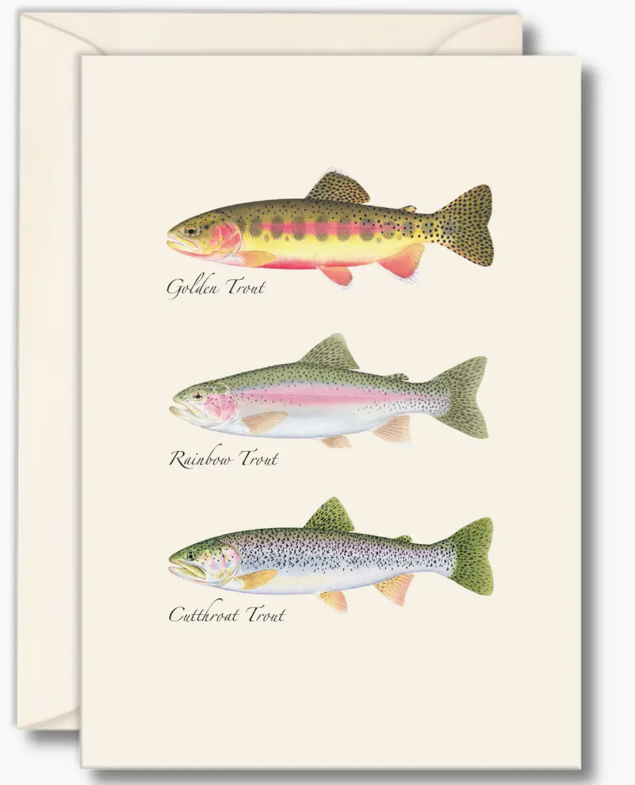 Western Trout Trio Notecards with Matching Envelopes - Set of 8