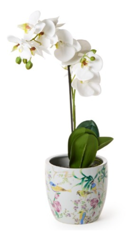 Bird and Blossom Chinoiserie Planter