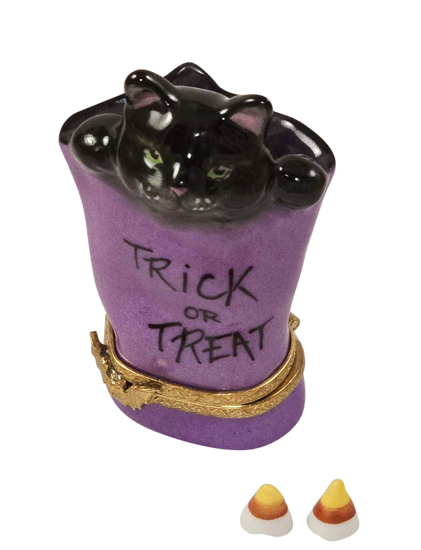 Cat in Trick or Treat Bag