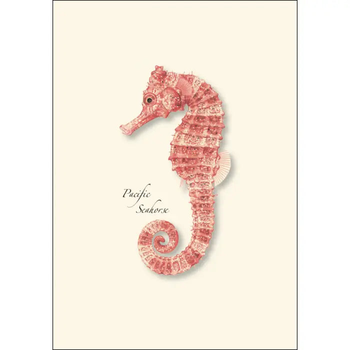 Pacific Seahorses Notecards with Matching Envelopes - Set of 8
