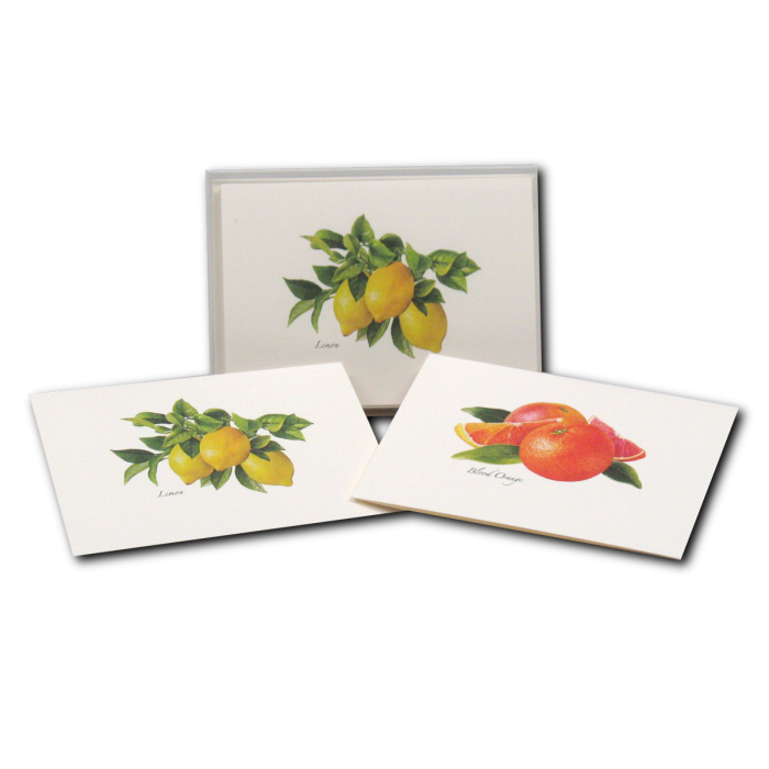 Citrus Assortment Notecard Set