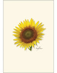 Sunflower Notecards with Matching Envelopes - Set of 8
