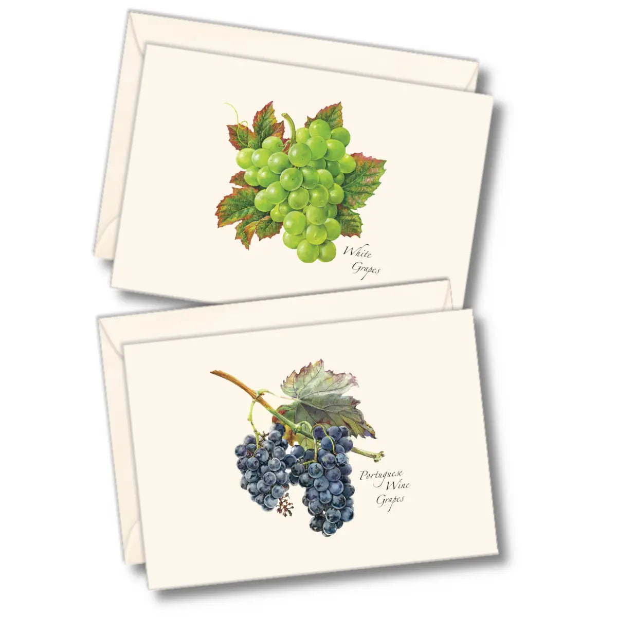 Grape Assortment Notecards with Matching Envelopes - Set of 8