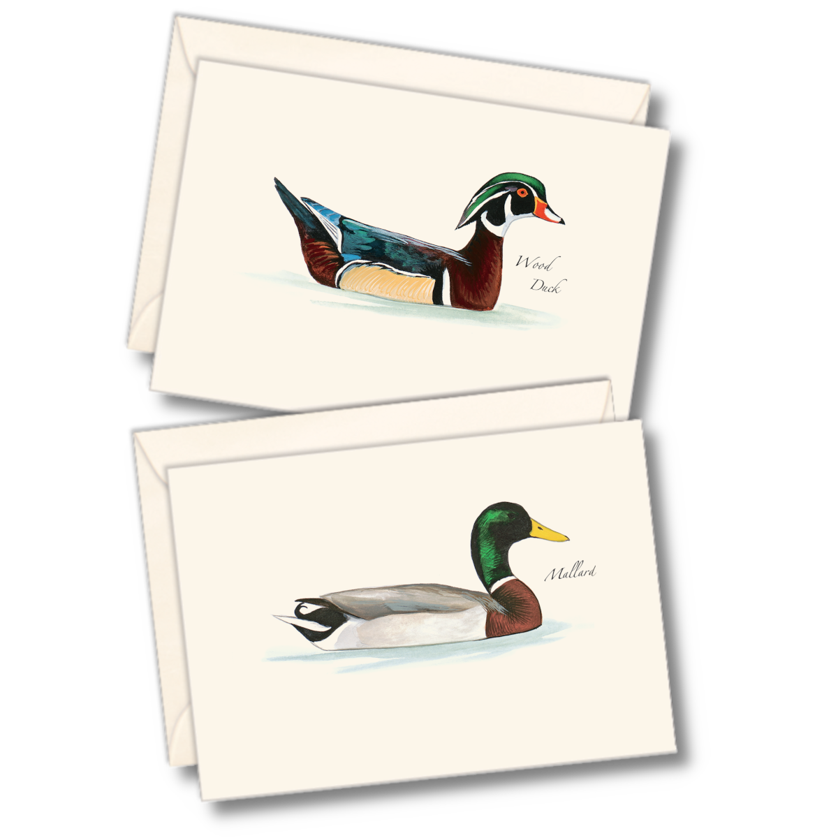 Sibley Duck Assortment Notecards with Matching Envelopes - Set of 8