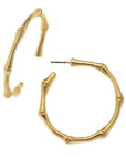 Gold Bamboo hoop earrings on a white background