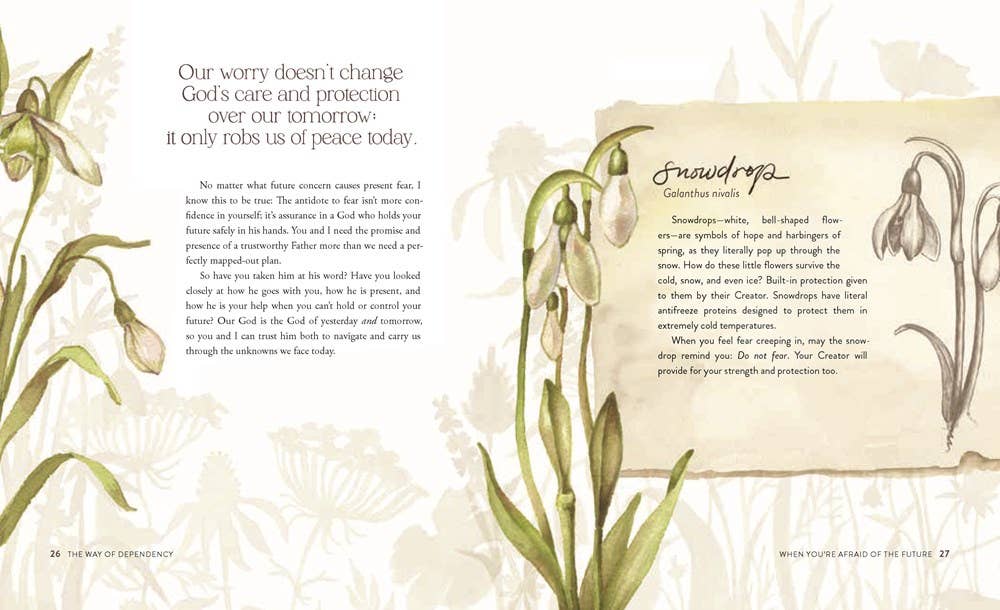 The Way of the Wildflower : Gospel Meditations to Unburden Y