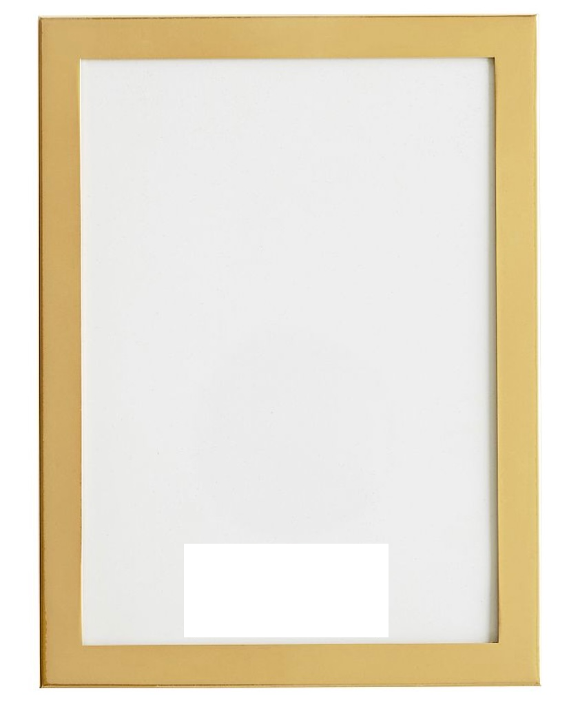 Modern Gold Frame 9x11