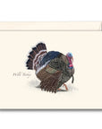 Wild Turkey Notecards with Matching Envelopes - Set of 8